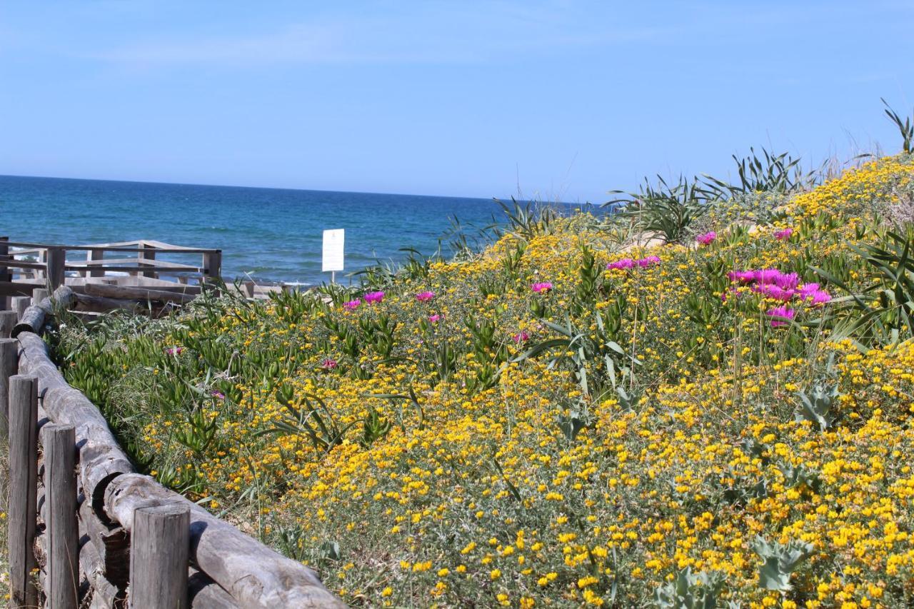 Sardinia Seabreeze Iun R2178 Villa *