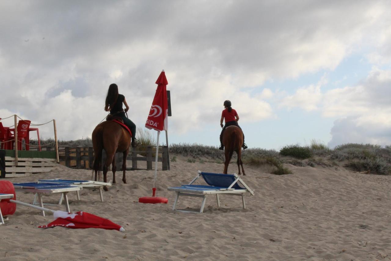 Sardinia Seabreeze Iun R2178 *