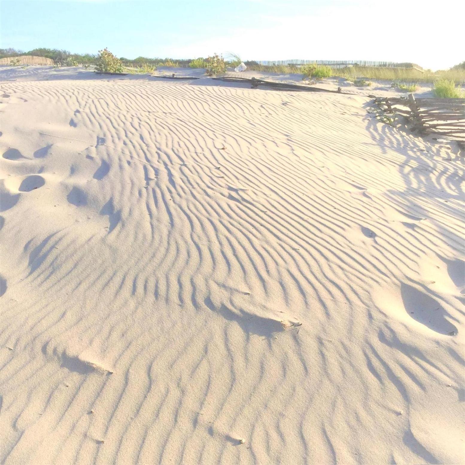 Sardinia Seabreeze Iun R2178 *